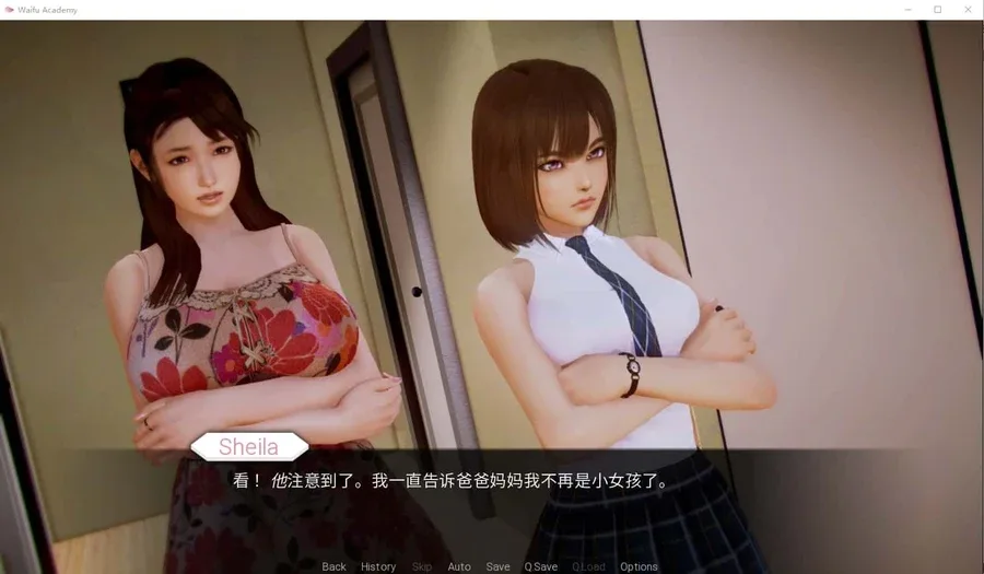 二次元老婆学院_Waifu Academy 中文界面 页面配图