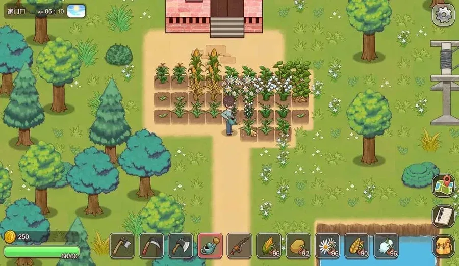 乡村狂想曲 乡村狂想曲汉化版下载PC版 封面图